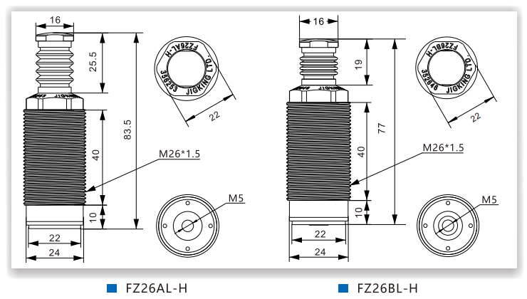FZ26AL/BL-H高防护型支撑缸(图7)
